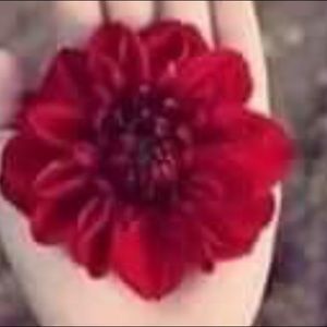 Meet your Posher, Anahi